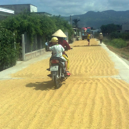 Bình Định Nhiều lòng đường thành sân phơi lúa